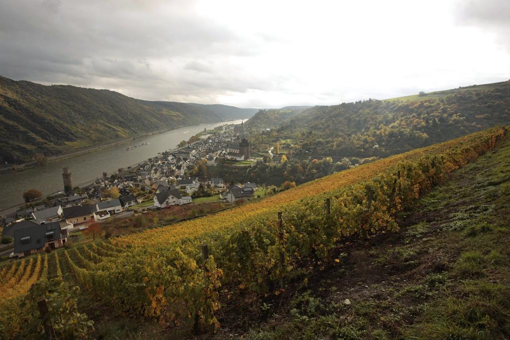 Hotel Gutsschaenke Sennerhof Oberwesel Exteriér fotografie
