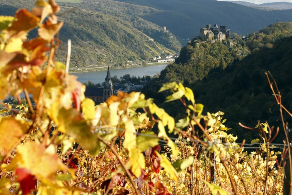 Hotel Gutsschaenke Sennerhof Oberwesel Exteriér fotografie